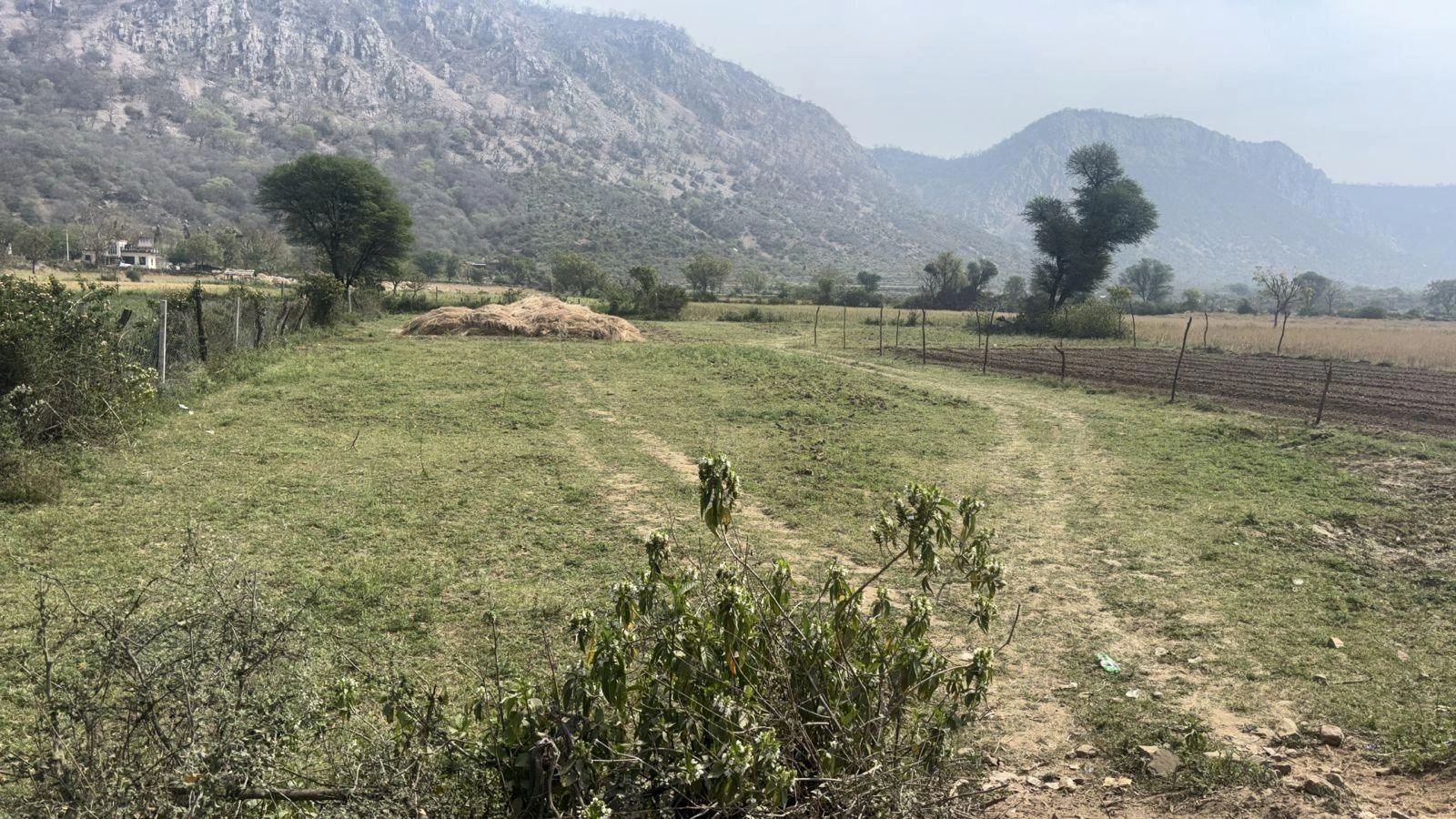HFCR+WF Rogra, Rajasthan, India preview 2