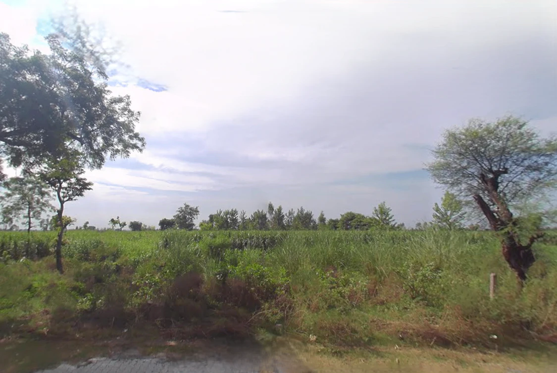 Azadpur Mafi, Uttar Pradesh 244235, India