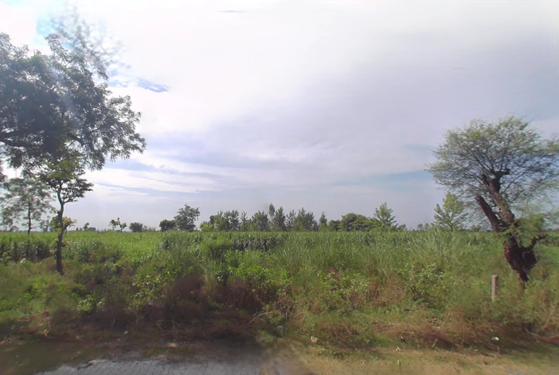 Azadpur Mafi, Uttar Pradesh 244235, India