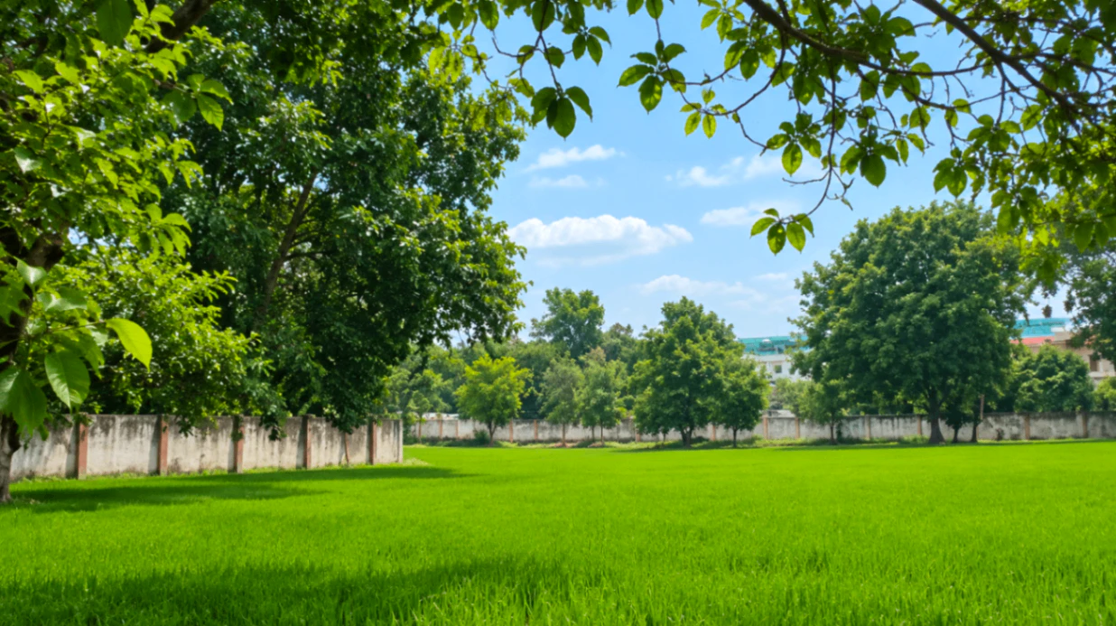 Khair, Aligarh, Uttar Pradesh 202138, India