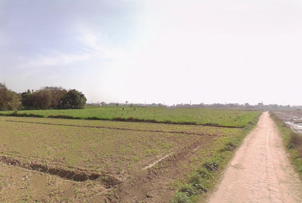 Jalalpur Jora, Uttar Pradesh 250401, India