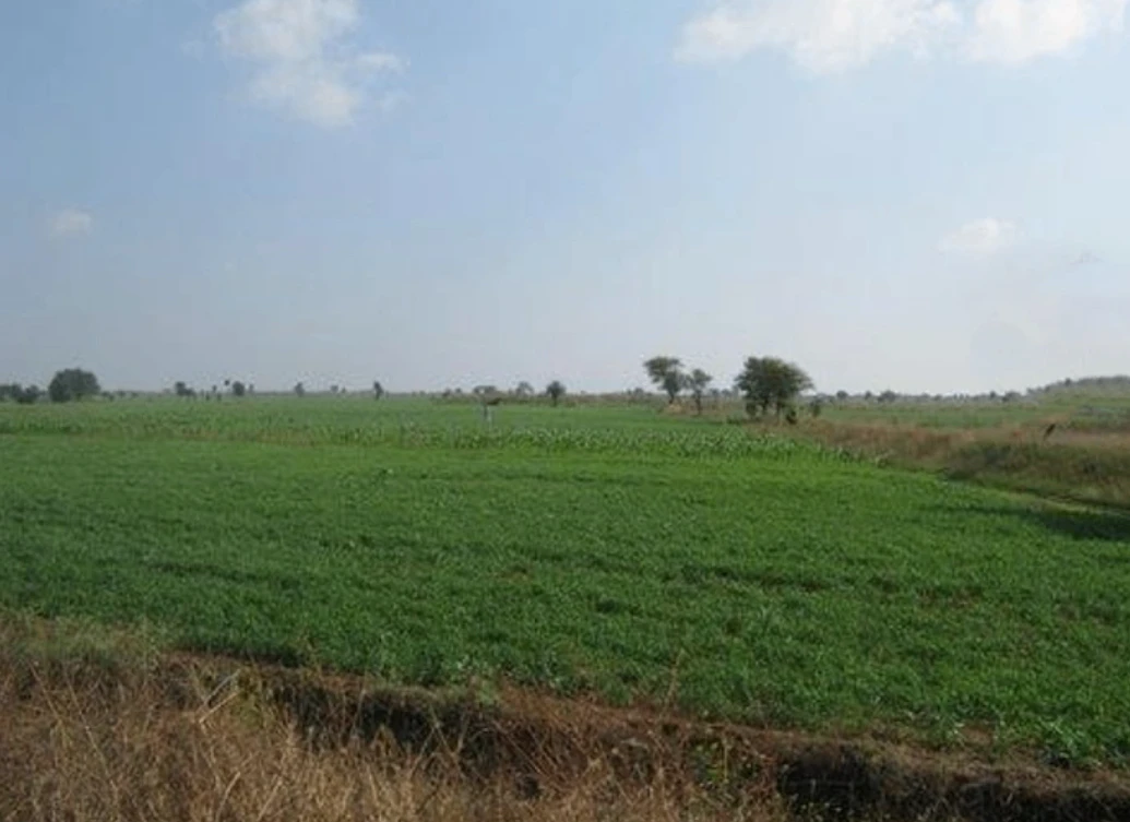 Barnagar, Madhya Pradesh 456771, India