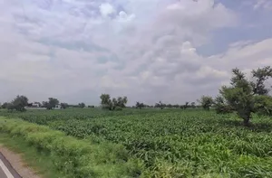 Bharatpur Rd, Semli, Rajasthan, India preview 2