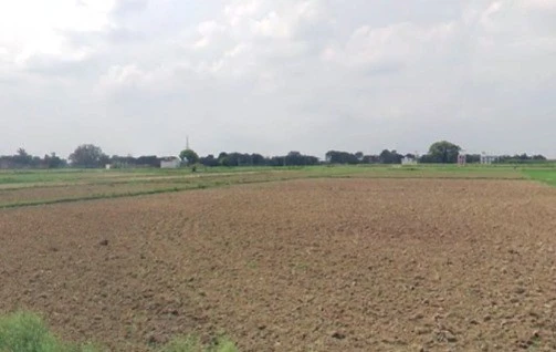 Alli, Madhya Pradesh 464551, India