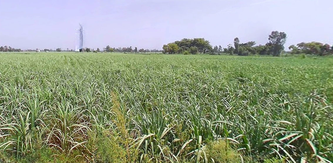 Bijnor, Uttar Pradesh 246701, India