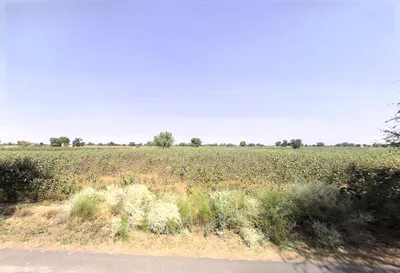 Gigo Rani, Haryana 125110, India preview 3