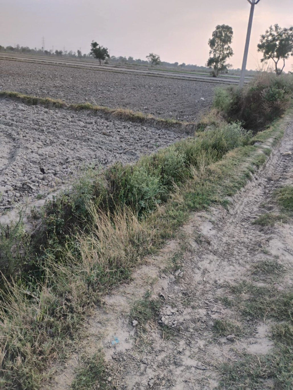 Sankhi, Uttar Pradesh 281401, India preview 2