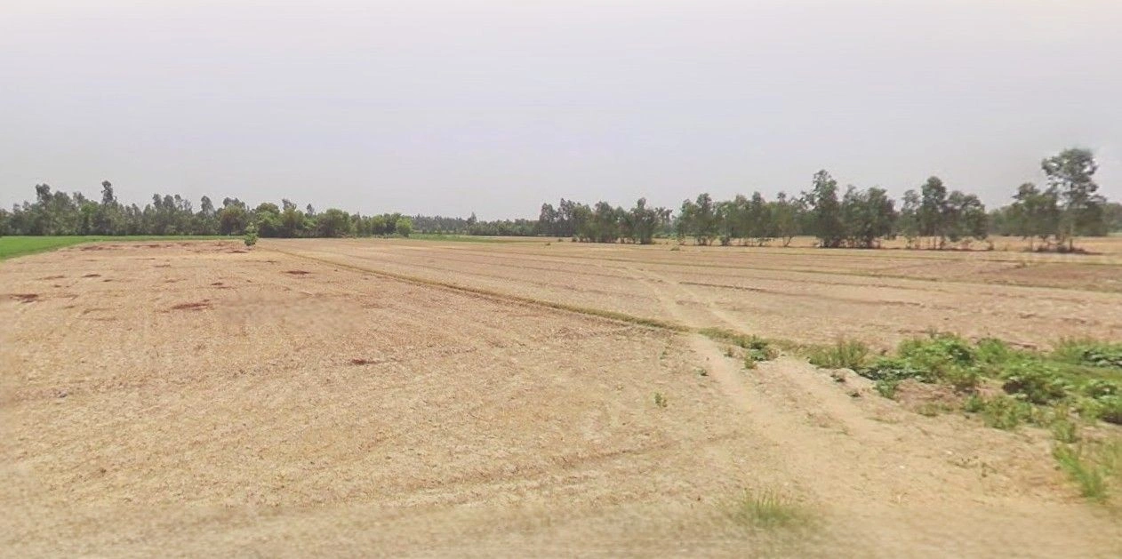 Khatima, Uttarakhand 262308, India