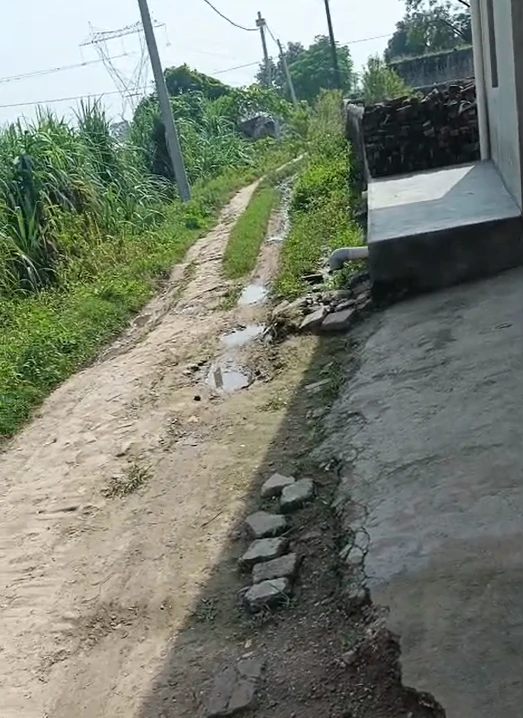 Loharka, Bulandshahr, Uttar Pradesh 203401, India