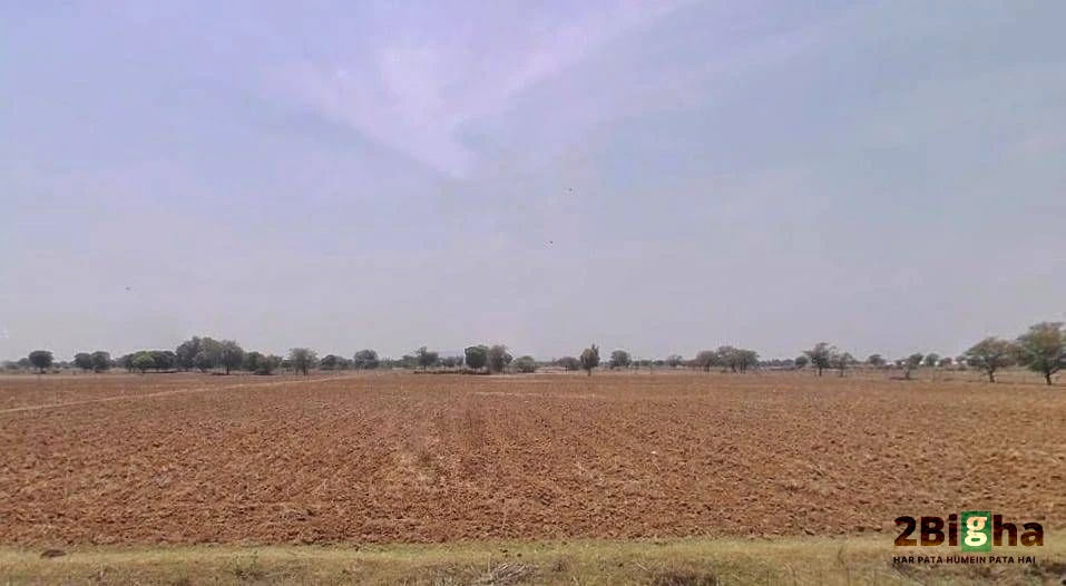 Lakhana Rd, Bagran Ka Bam, Jagannathpura, Rajasthan 302029, India