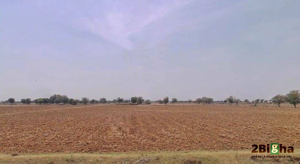 Lakhana Rd, Bagran Ka Bam, Jagannathpura, Rajasthan 302029, India