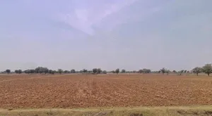 Lakhana Rd, Bagran Ka Bam, Jagannathpura, Rajasthan 302029, India preview 2