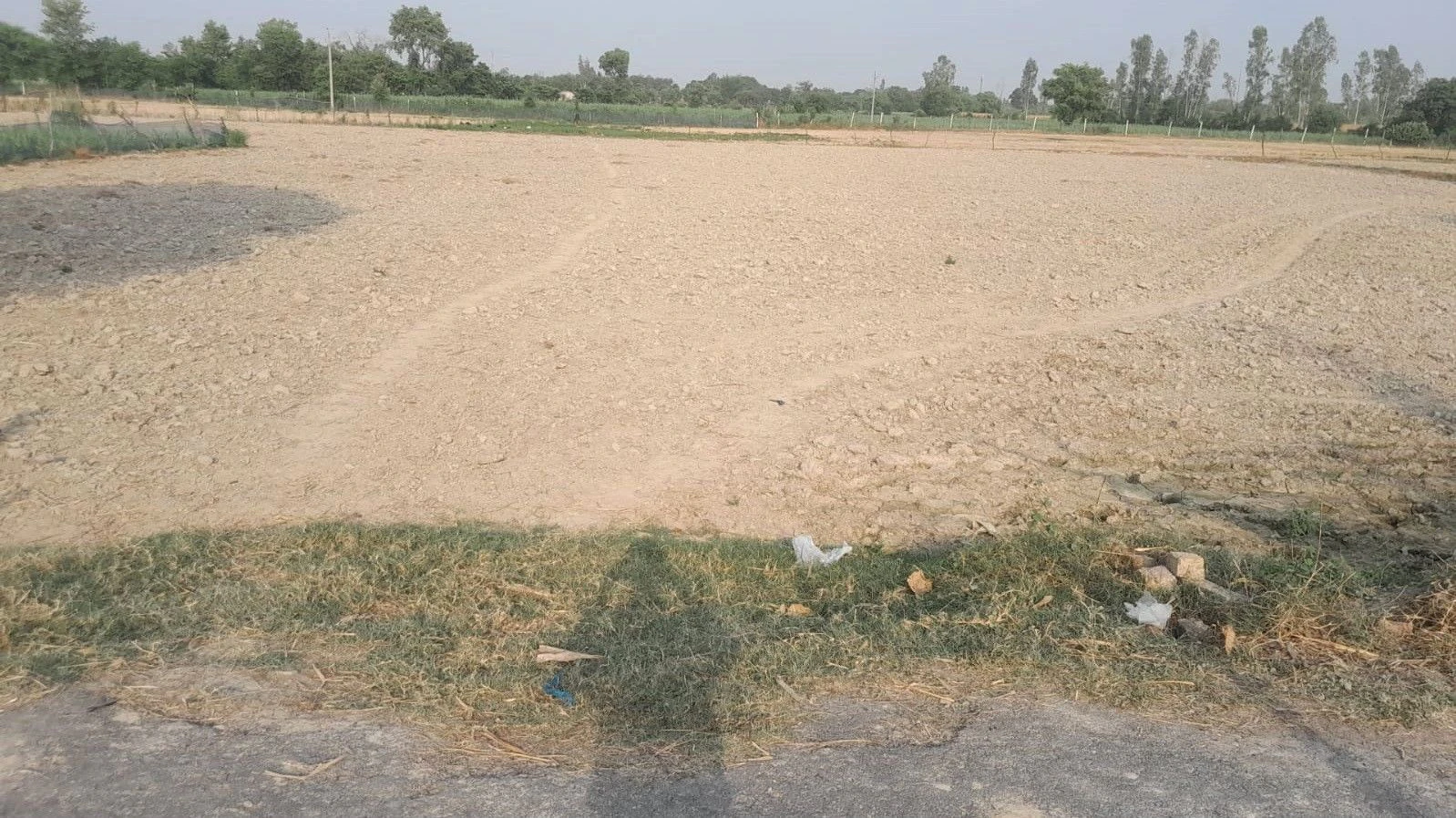 P65J+53 Baisingh, Uttar Pradesh, India