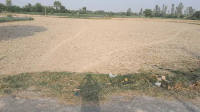 P65J+53 Baisingh, Uttar Pradesh, India preview 2