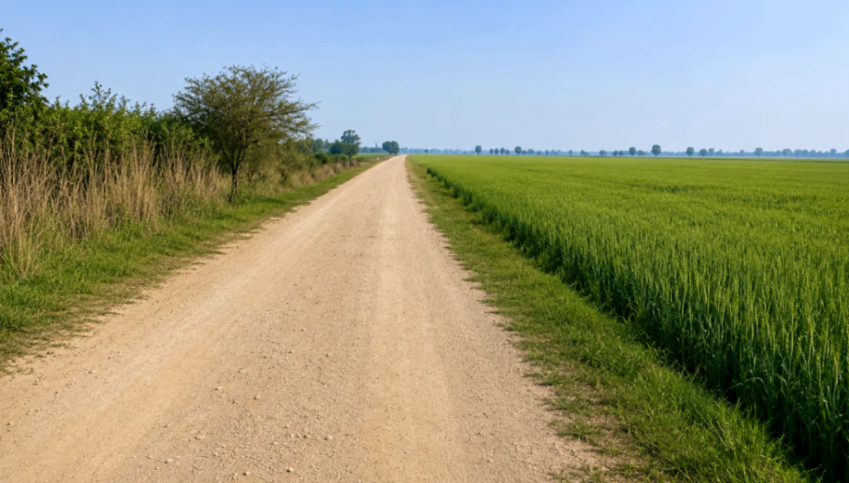 Lakhimpur, Lakhimpur Kheri, Uttar Pradesh 262701, India