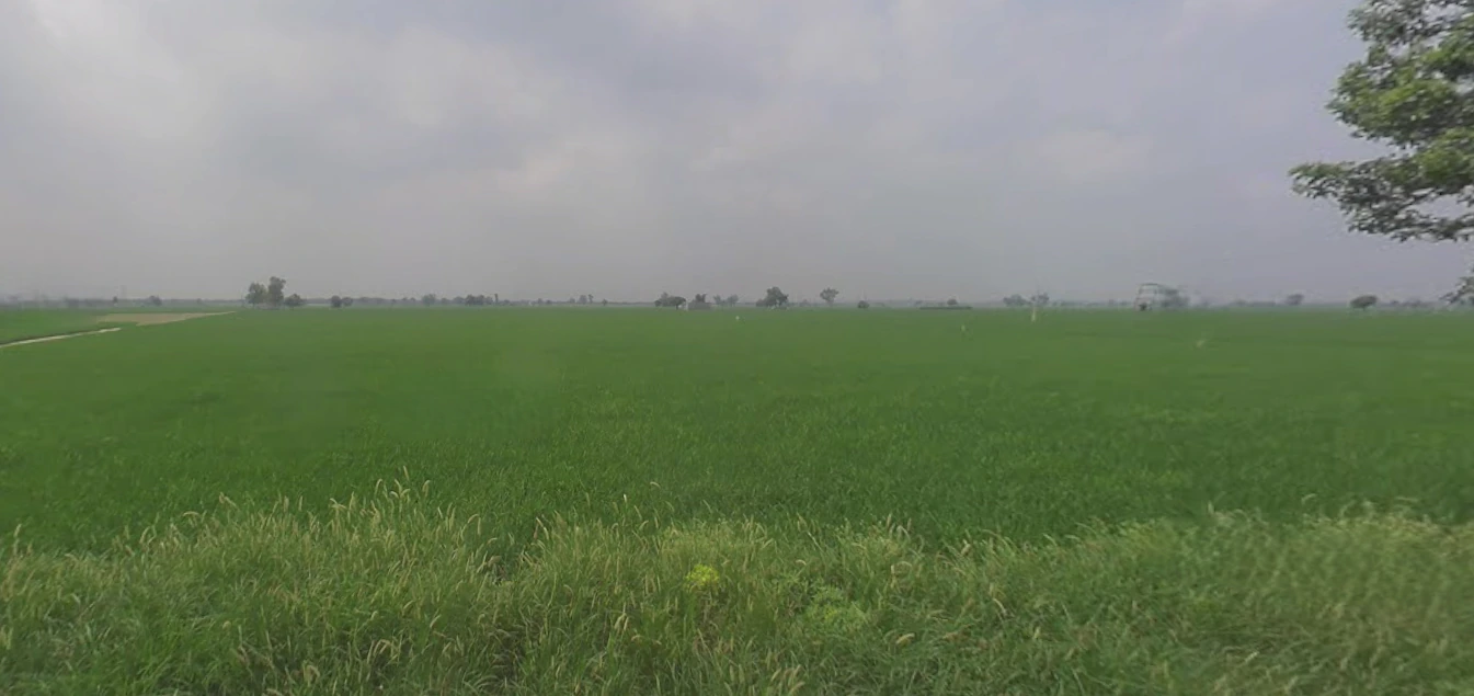 Shri Hargobindpur, Punjab 143515, India