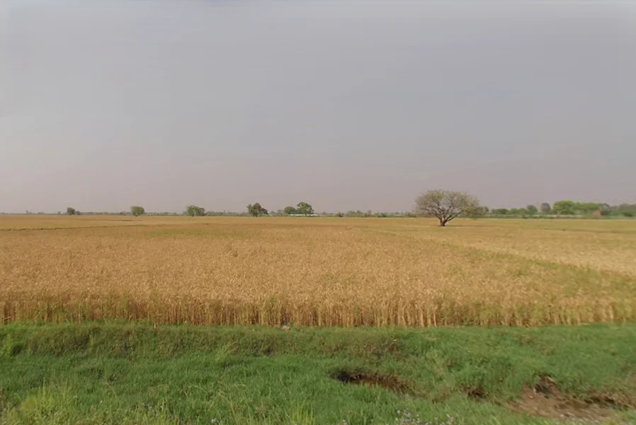 JPP2+8PW, Narainpur Vaska, Uttar Pradesh 245301, India preview 2