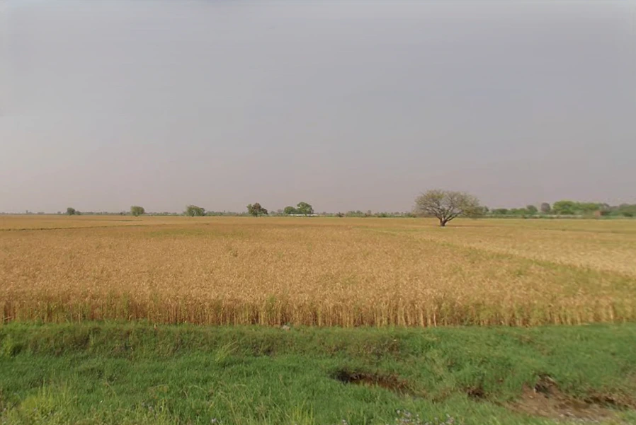 JPP2+8PW, Narainpur Vaska, Uttar Pradesh 245301, India