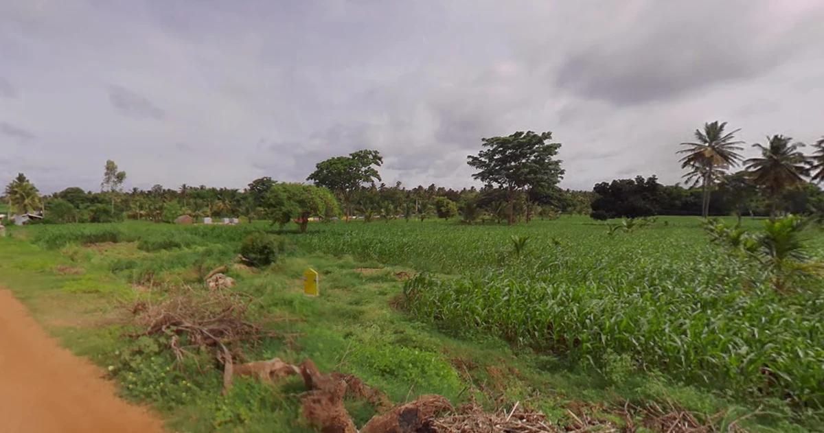 Gaddige, Karnataka 571189, India