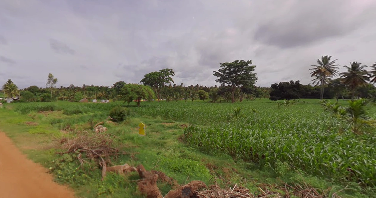 Gaddige, Karnataka 571189, India