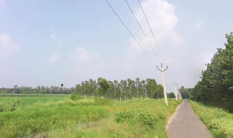 Behat, Uttar Pradesh 247121, India