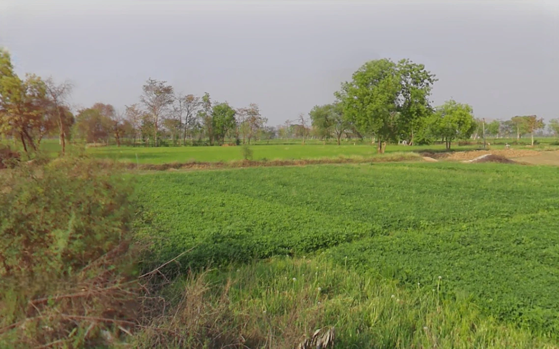 Pinkapar, Chhattisgarh 491661, India