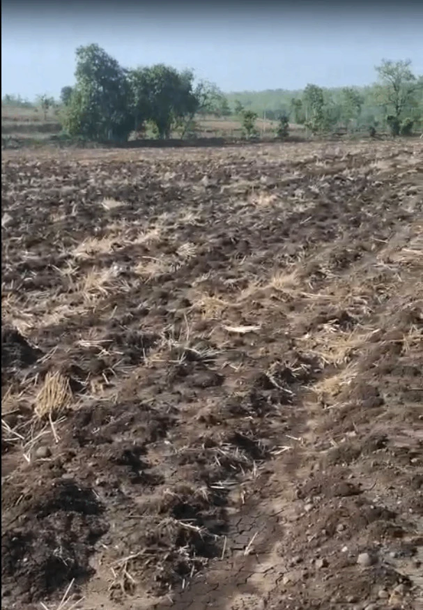 Kalmer Badi, Indore, Madhya Pradesh, India