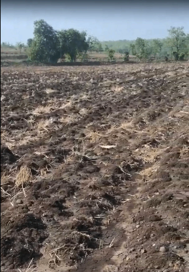 Kalmer Badi, Indore, Madhya Pradesh, India