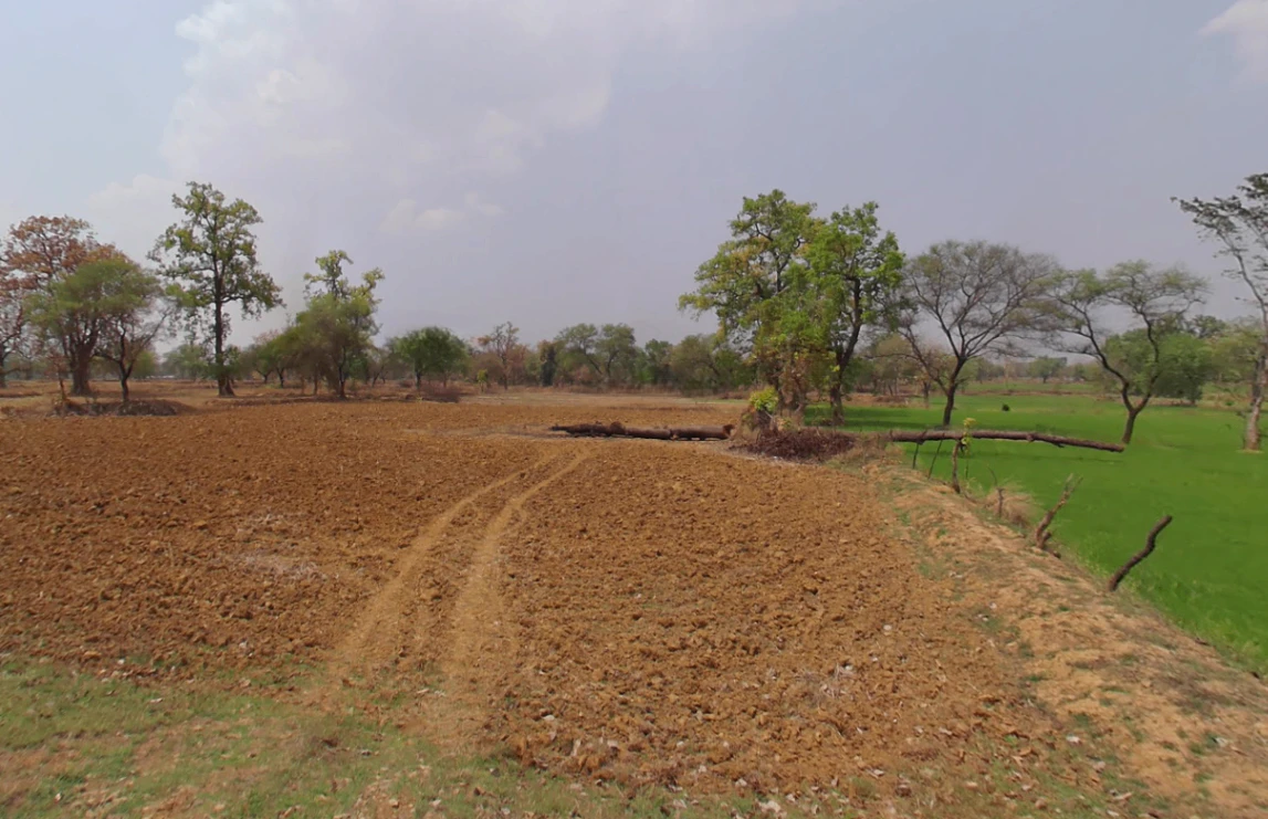 Godhi, Chhattisgarh, India