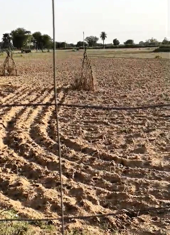 P6PF+QF Rajwas, Rajasthan, India