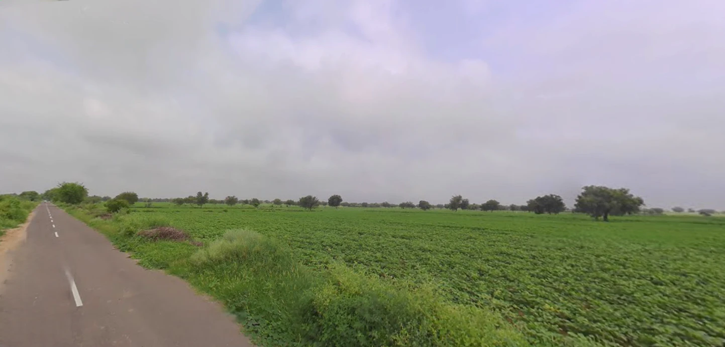 Budak, Haryana 125004, India