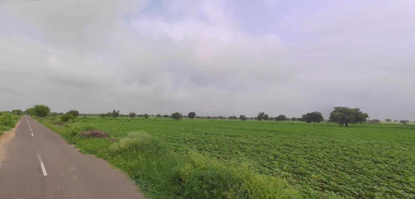 Budak, Haryana 125004, India