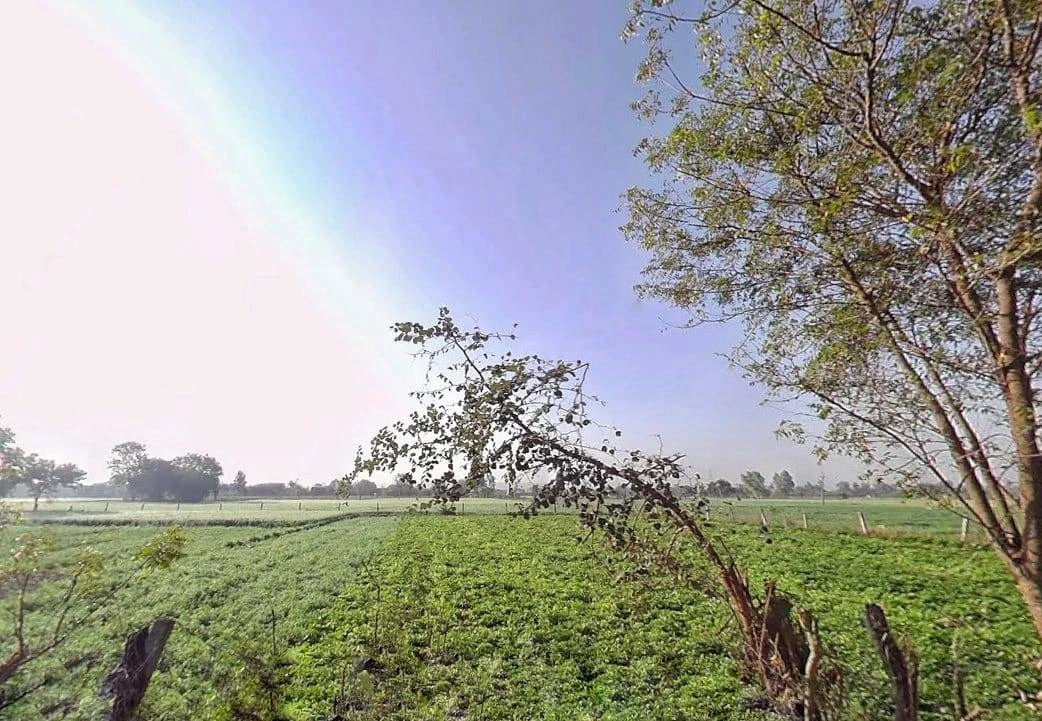 GGF2+JV Raghunathpura, Rajasthan, India