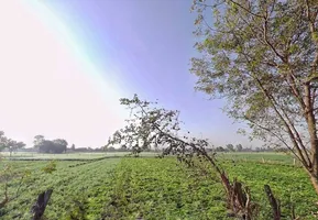 GGF2+JV Raghunathpura, Rajasthan, India preview 3