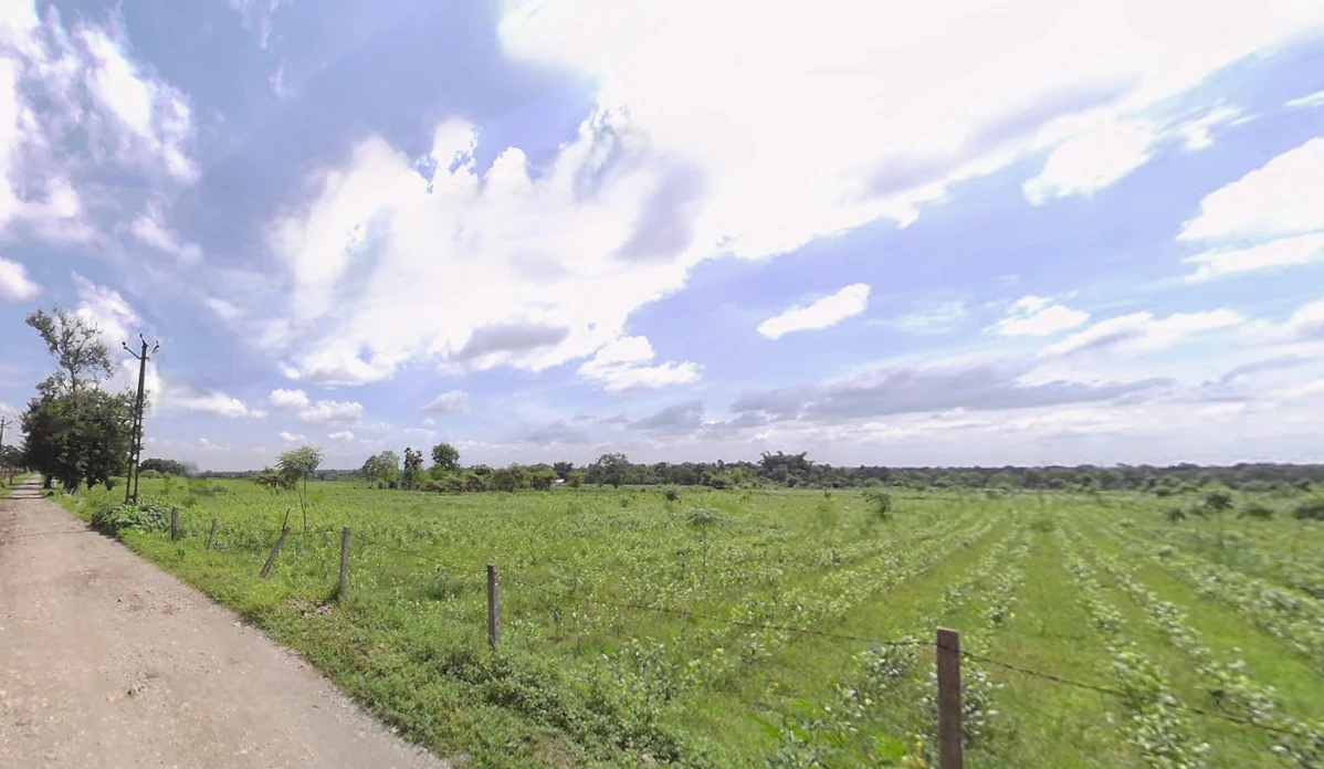 Mal Bazar, West Bengal 735221, India