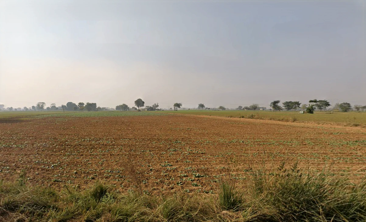 Baluda, Sohna, Haryana 122103, India