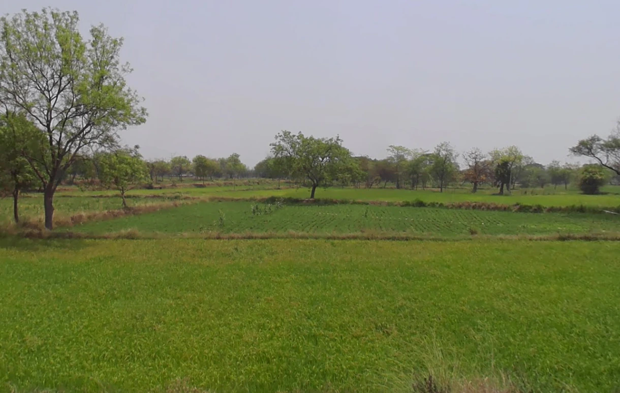 Wadsa, Chhattisgarh 494665, India