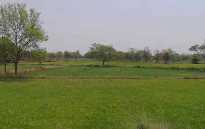 Wadsa, Chhattisgarh 494665, India preview 2