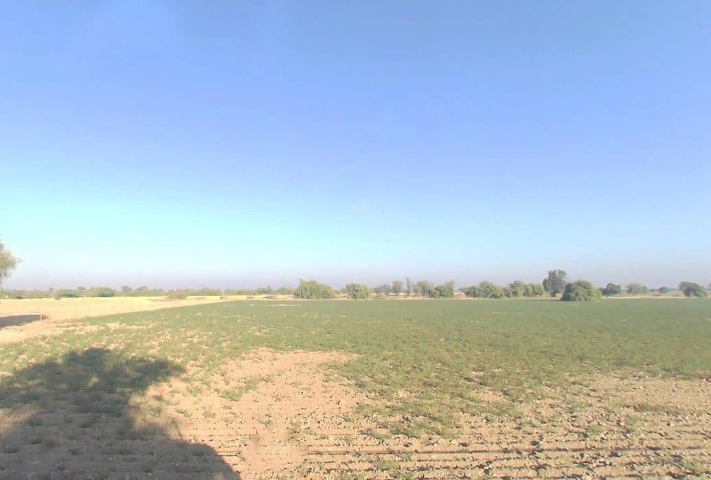 V5VM+XGF, Bandai, Rajasthan 306421, India