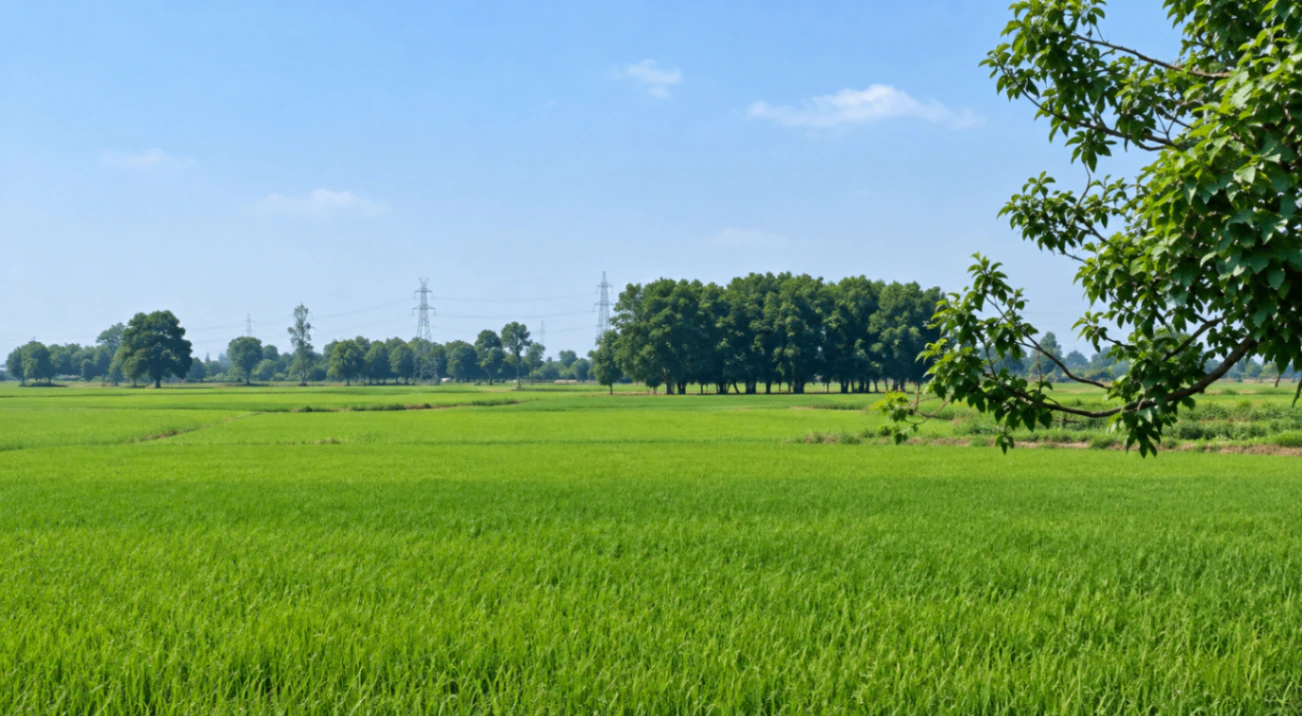 Gunihari, Sahibganj, Jharkhand, India - Photo 1