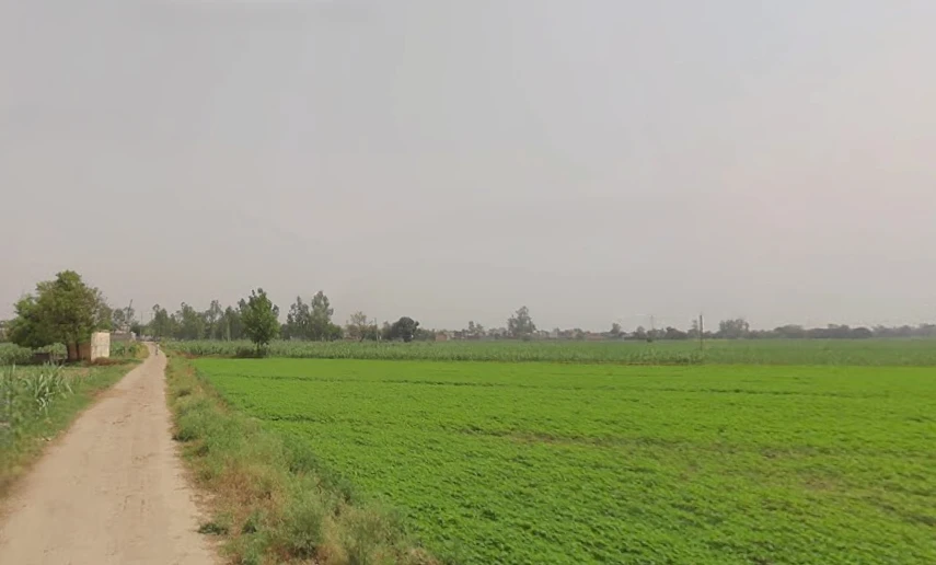 4V8G+677, Mawana Khurd, Uttar Pradesh 250401, India