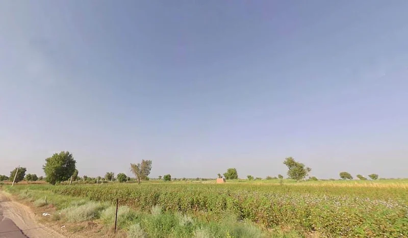 Birdhwal, 2 Mc, Rajasthan 335805, India preview 2