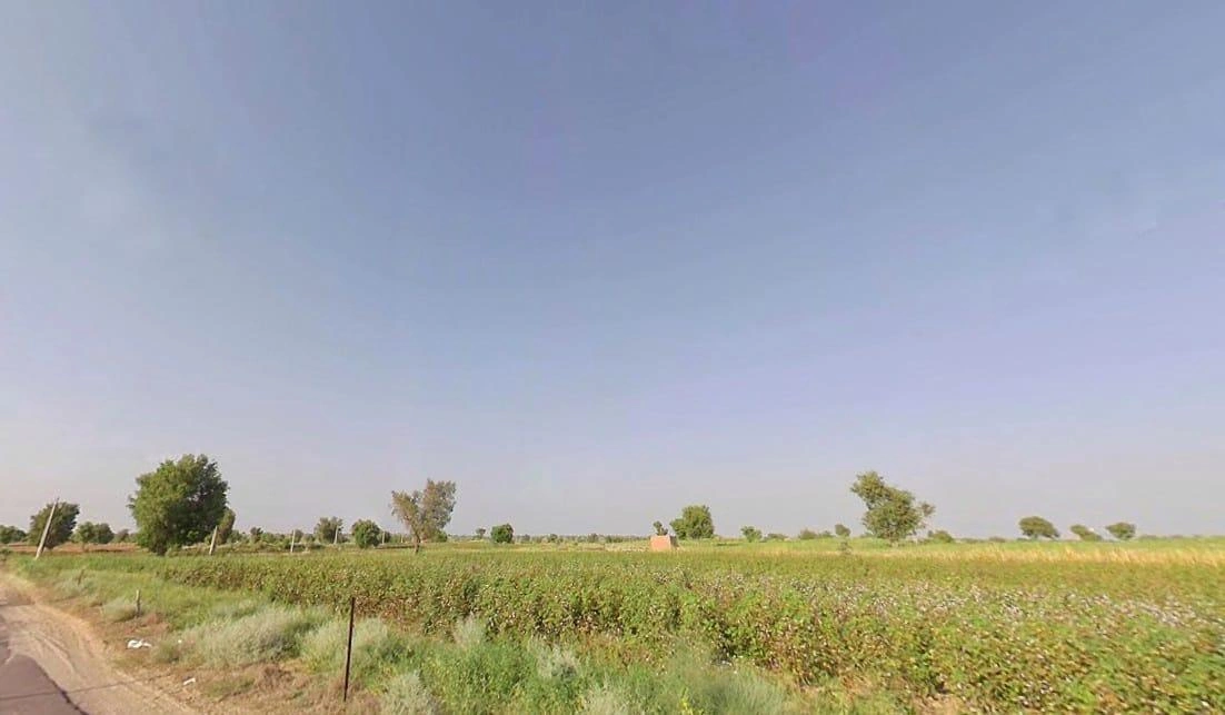 Birdhwal, 2 Mc, Rajasthan 335805, India