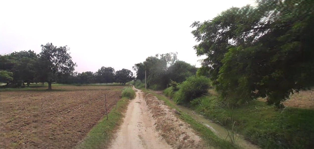 Asoha, Uttar Pradesh 209859, India