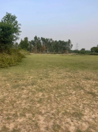 Chhatarpur, New Delhi, Delhi, India preview 2
