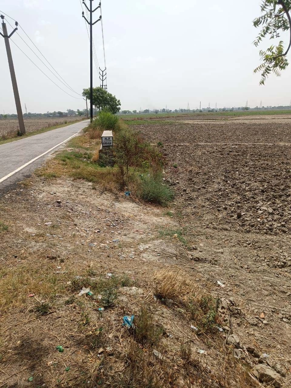 Aou, Rajasthan, India