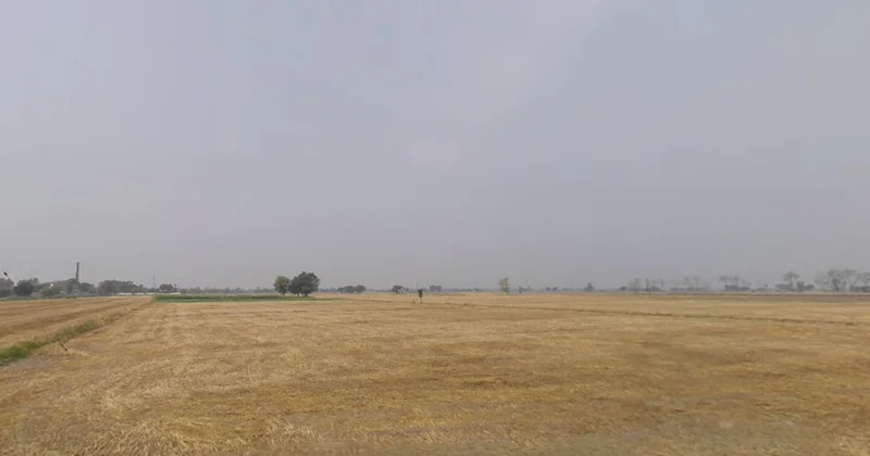 Shop No 22, Patiala - Devigarh Rd, Panjeta, Bir Bhuner Heri, Patiala, Punjab 147111, India preview 2