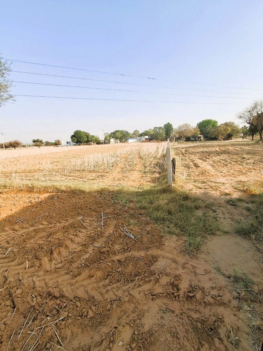 Bhalkhi Majra, Haryana 123102, India preview 2