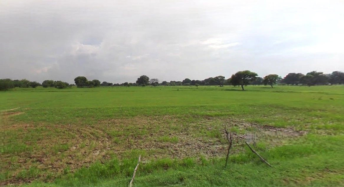 Shajapur, Madhya Pradesh 465001, India