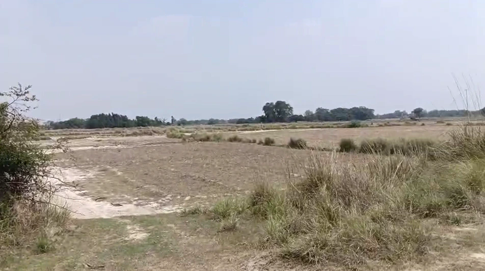 Purwa, Uttar Pradesh, India